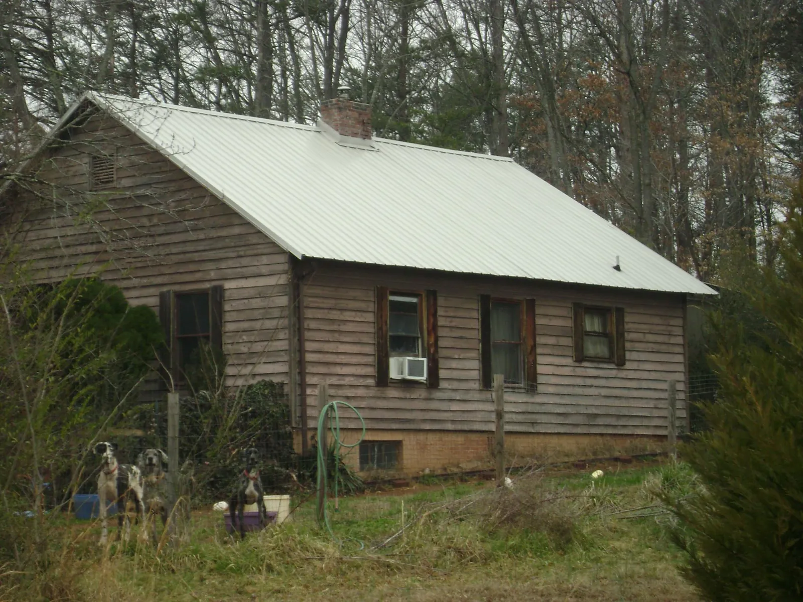White metal roof on an old wood sided farmhouse, from a Asphalt Shingle Roof Repair job in Waldo